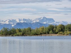 20240426_084017.jpg