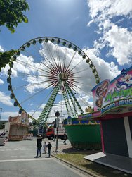 IMG_20240528_132750670_HDR.jpg
