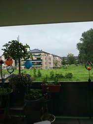 IMG_20240528_192106742_HDR.jpg