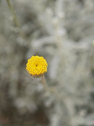IMG_20240527_160321.jpg