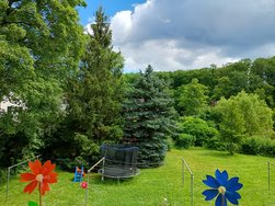 IMG_20240529_123123972_HDR.jpg