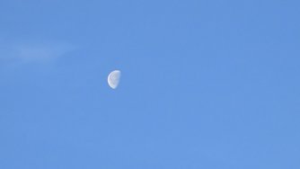 20240529_063458.jpg