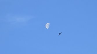 20240529_063510.jpg