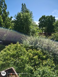 IMG_20240530_100034194_HDR.jpg