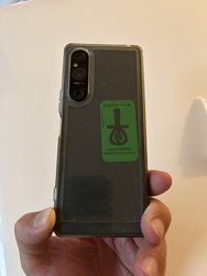 IMG_5341.jpeg