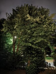 IMG_20240529_232017.jpg