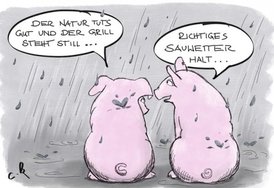 Sauwetter.jpg
