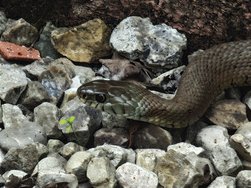 IMG_20240601_170425.jpg