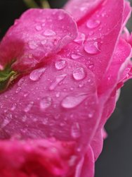 IMG_20240601_142810.jpg