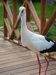 IMG_20240504_122805_1.jpg