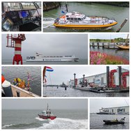 PhotoCollage_1717432119393.jpg