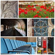 PhotoCollage_1717364359488.jpg
