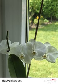IMG_20240531_120407.jpg