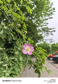 IMG_20240603_161353.jpg