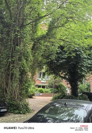 IMG_20240603_170219.jpg