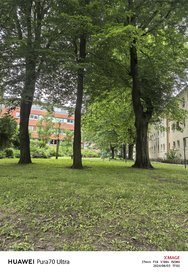 IMG_20240603_170223.jpg