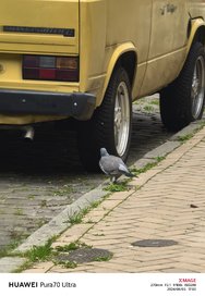 IMG_20240603_170253.jpg
