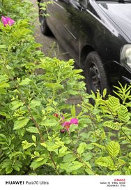 IMG_20240603_175540.jpg