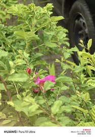 IMG_20240603_175542.jpg