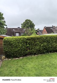 IMG_20240603_181324.jpg