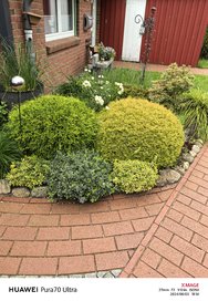 IMG_20240603_181434.jpg