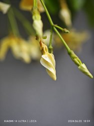 IMG_20240603_185946.jpg