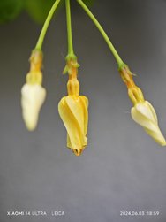 IMG_20240603_185954.jpg