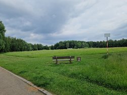 S22_20240601_174100.jpg
