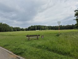 S24_20240601_174143.jpg