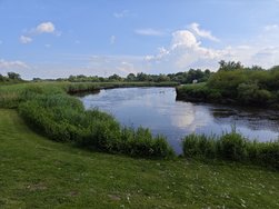 IMG_20240601_171425.jpg