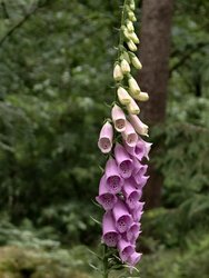 IMG_20240604_160510_668.jpg
