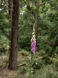 IMG_20240604_145943_384.jpg