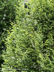 IMG_20240604_165735.jpg
