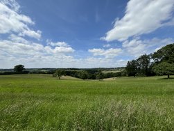 IMG_0320.jpeg