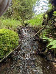IMG_0275.jpeg