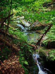IMG_20240529_172306.jpg