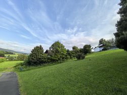 IMG_20240602_185115.jpg