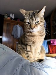 IMG_20240422_181708.jpg