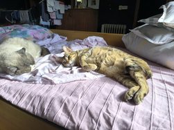 IMG_20240505_171730.jpg