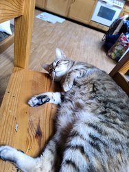 IMG_20240513_192124.jpg