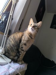 IMG_20240513_203830.jpg
