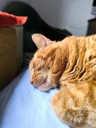 IMG_20240527_143331.jpg