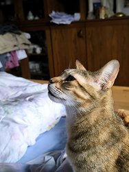 IMG_20240527_180906.jpg