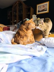 IMG_20240528_112216.jpg