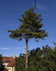 IMG_3813.jpeg