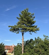 IMG_3814.jpeg