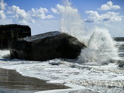 IMG_20240606_164703.jpg