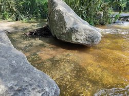 IMG20240606152205.jpg