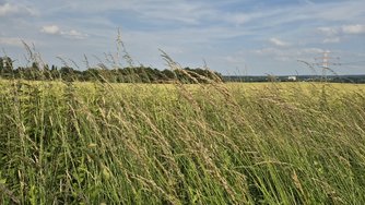 20240607_173154.jpg