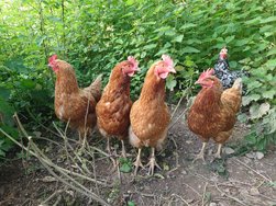 20240607_191002853.JPG 20240607_191002853.JPG